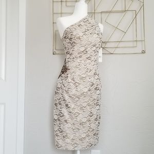 Eliza J Lace One-Shoulder Dress (Size 6)